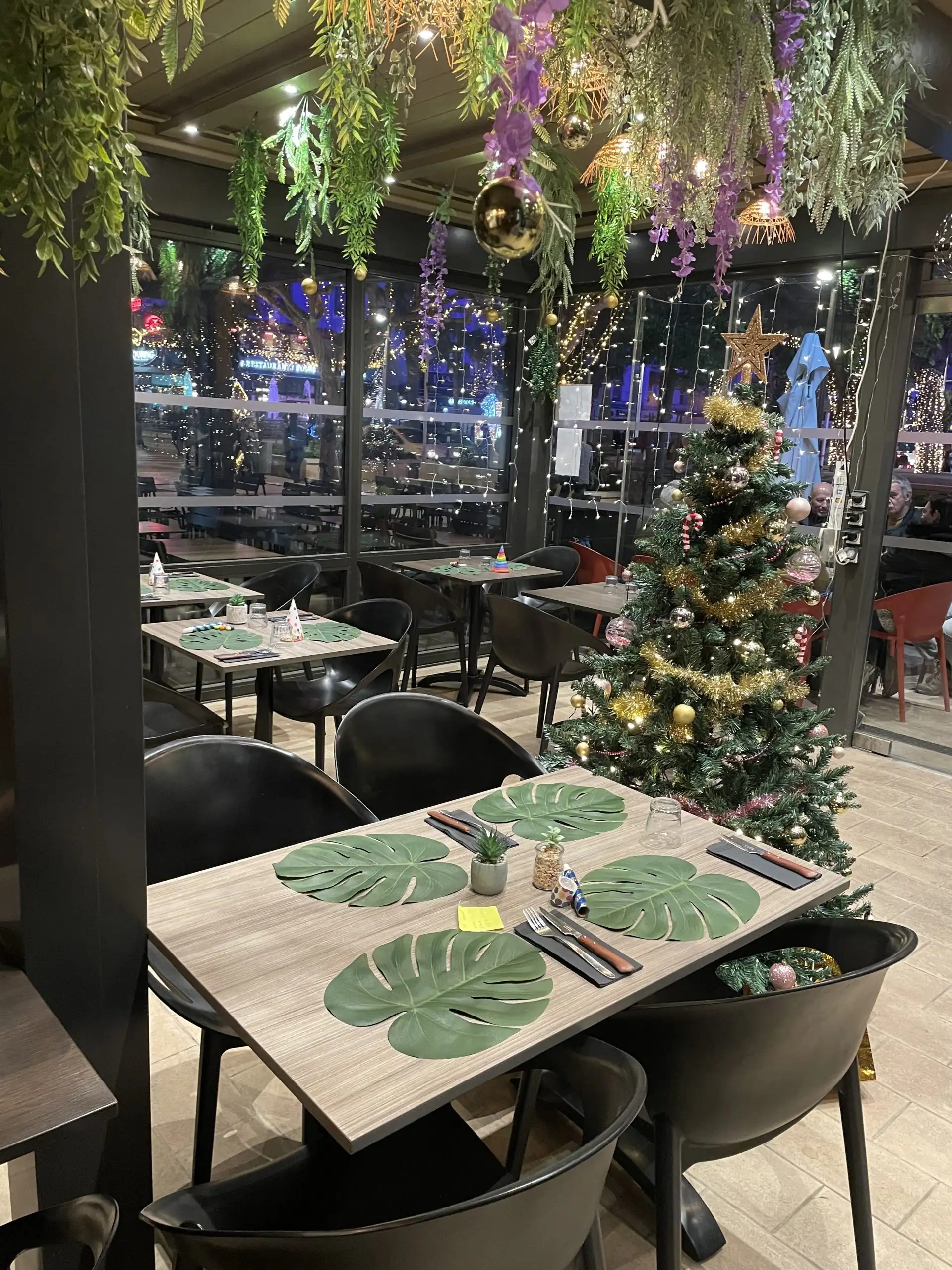 LES 2 SINGES à Saint-Raphaël