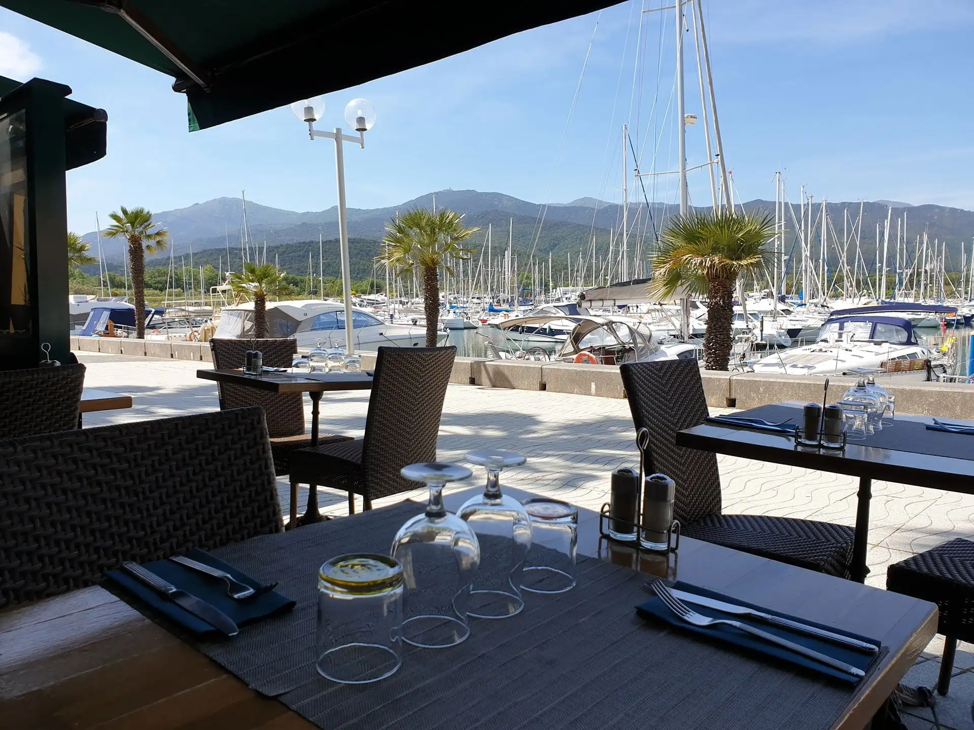 La Mariscada (vue sur le port) à Argelès-sur-Mer