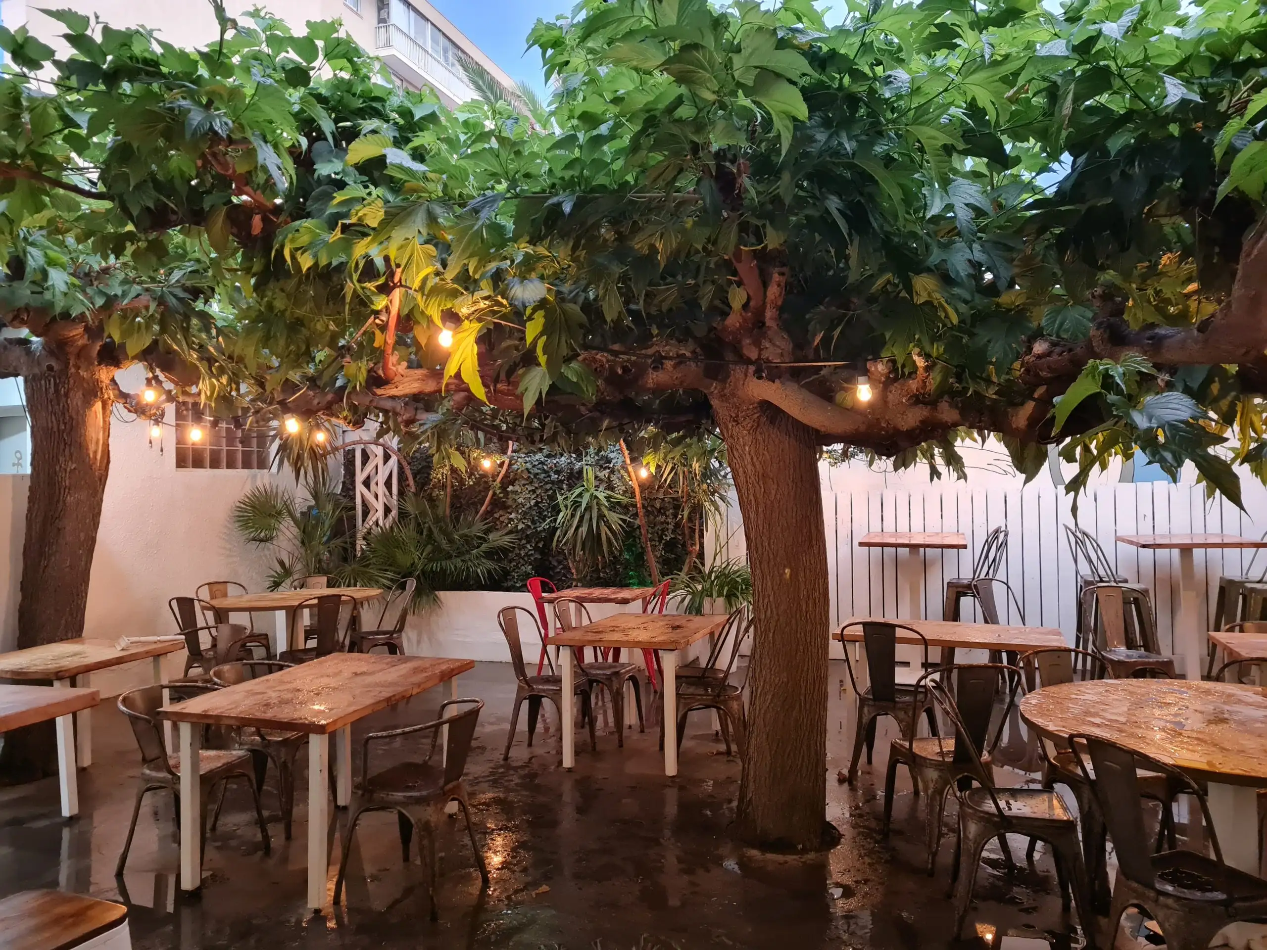 Le Carré à Canet-en-Roussillon