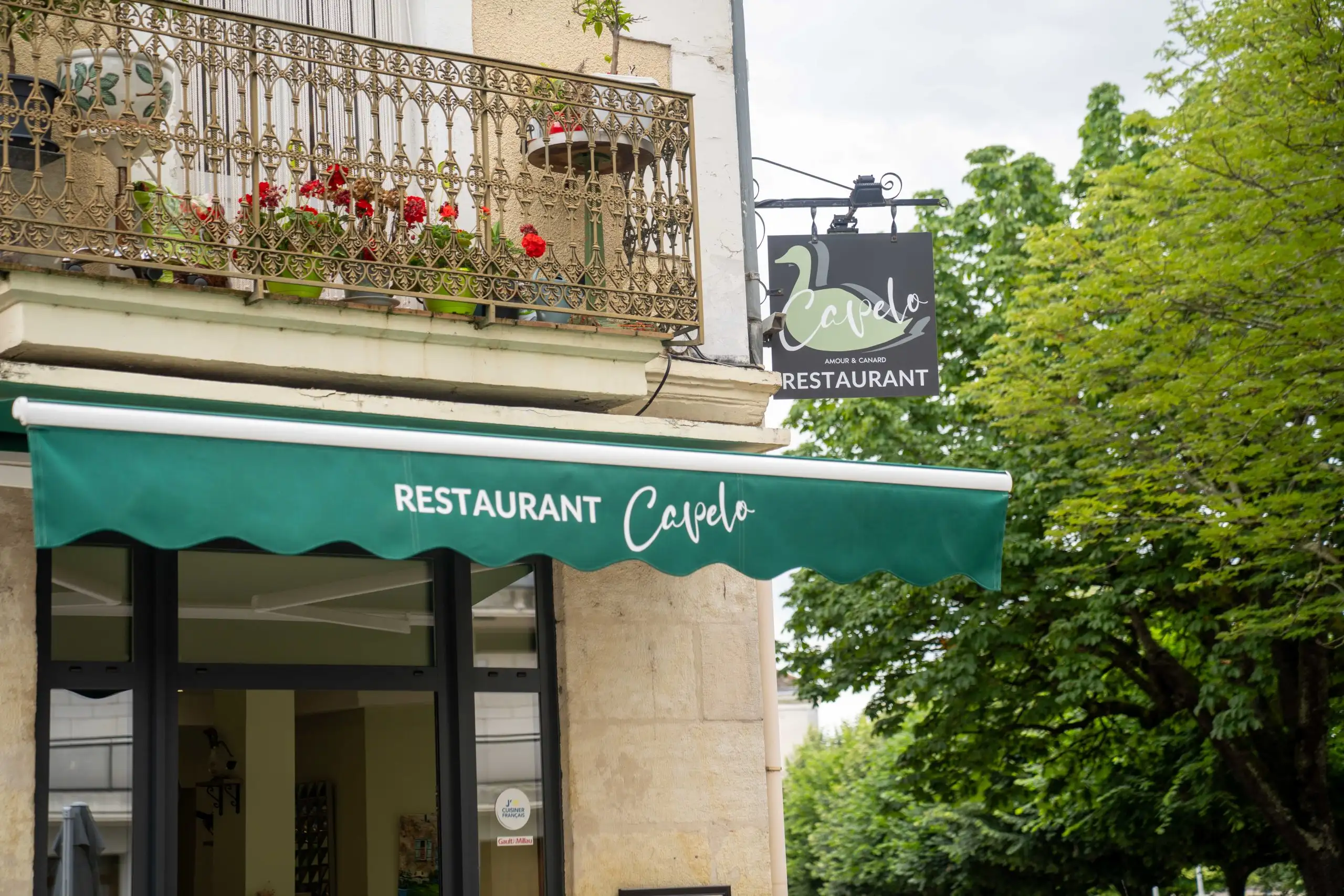 Capelo à Périgueux