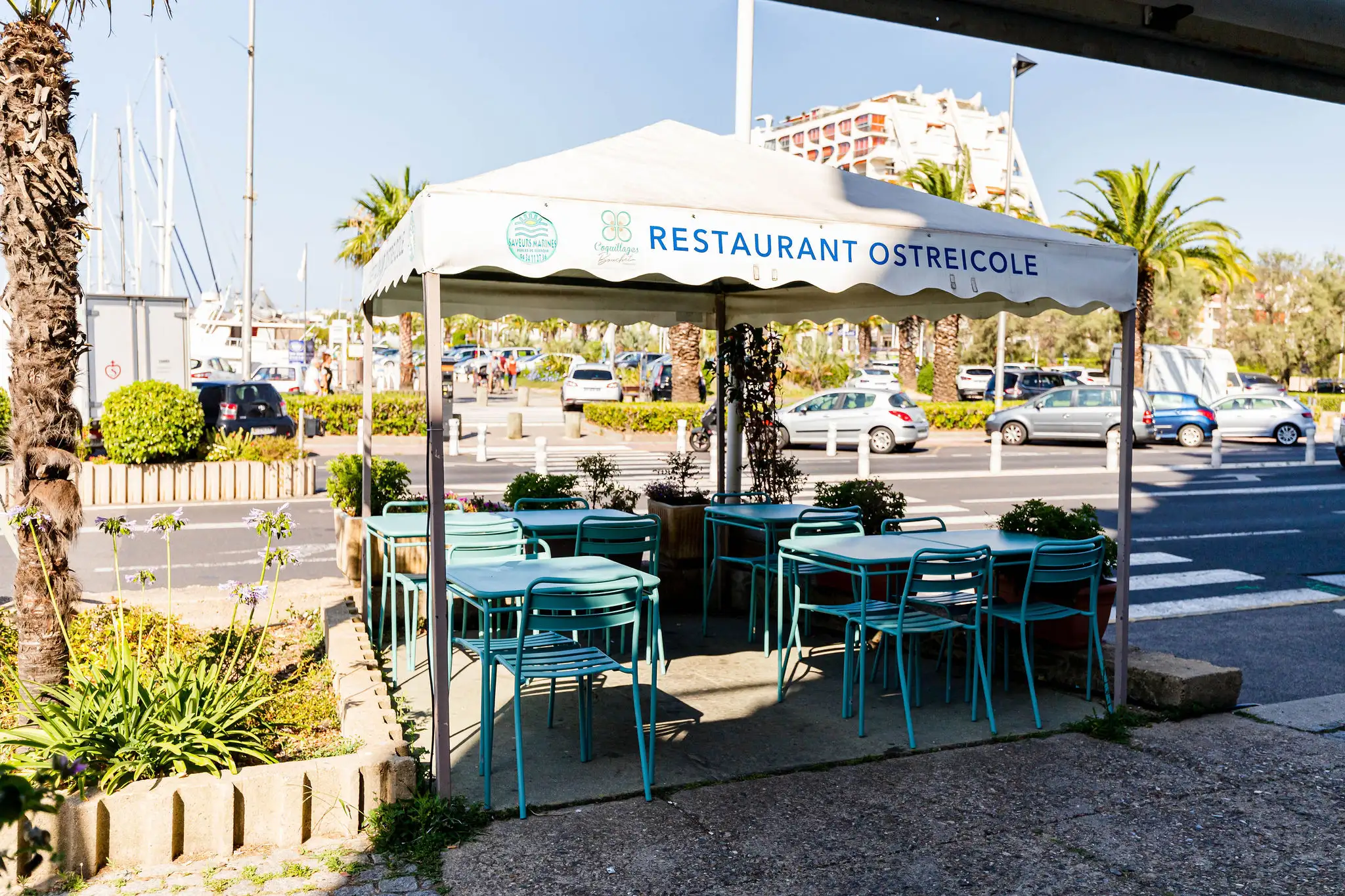 Saveurs Marines, restaurant de coquillages et de crustacés à La Grande-Motte à La Grande-Motte