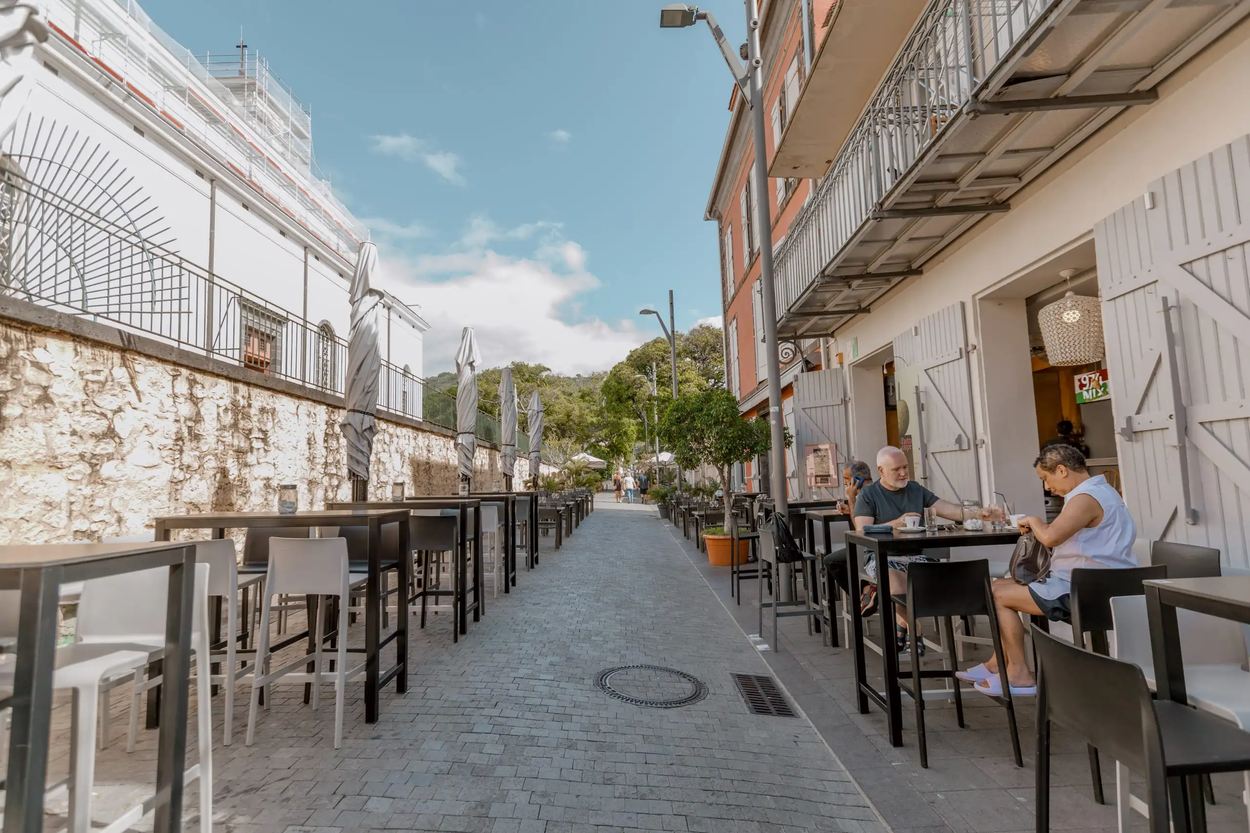 l'artocarpe à Saint-Denis