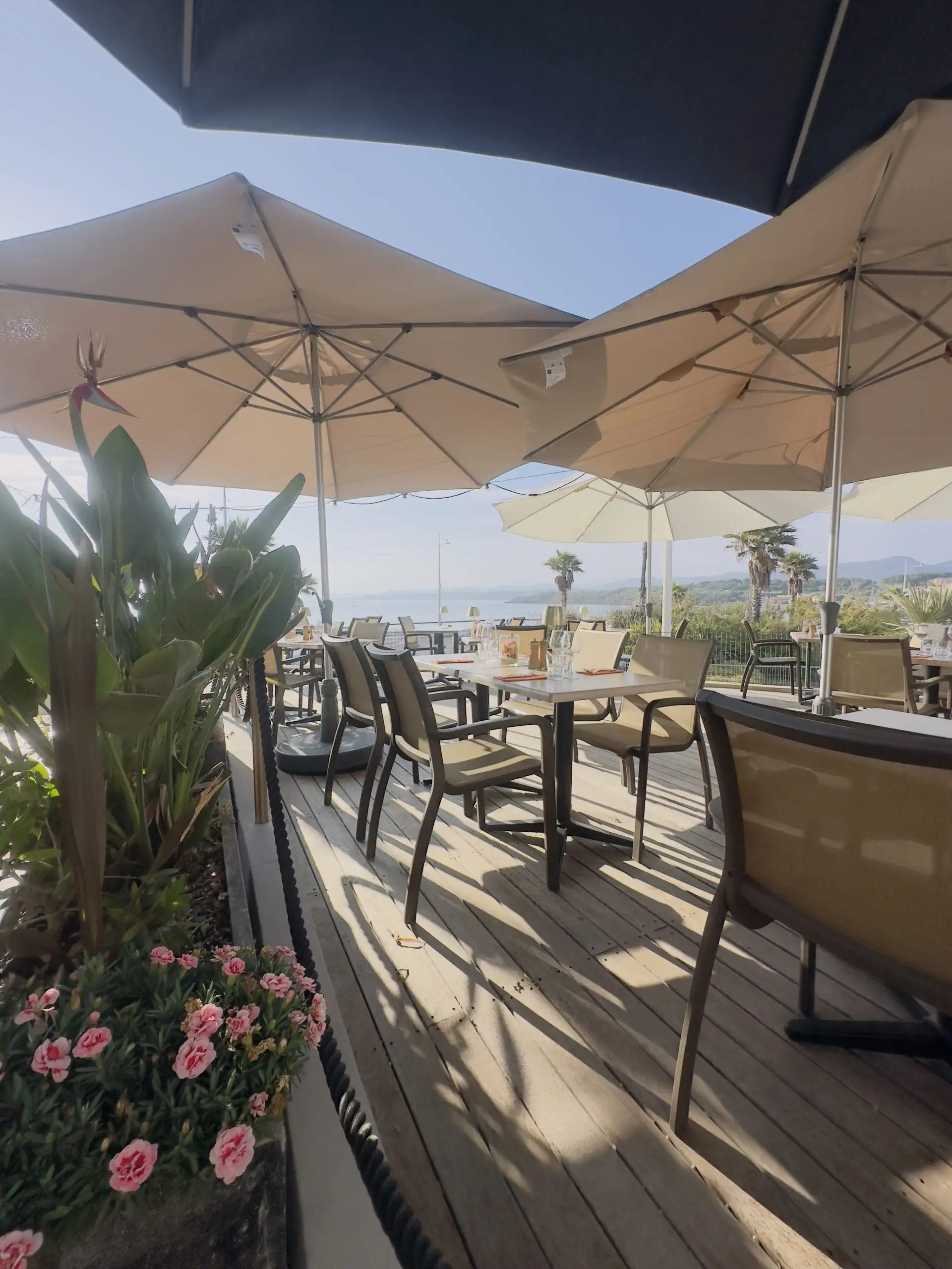Restaurant La Terrasse à Six-Fours-les-Plages