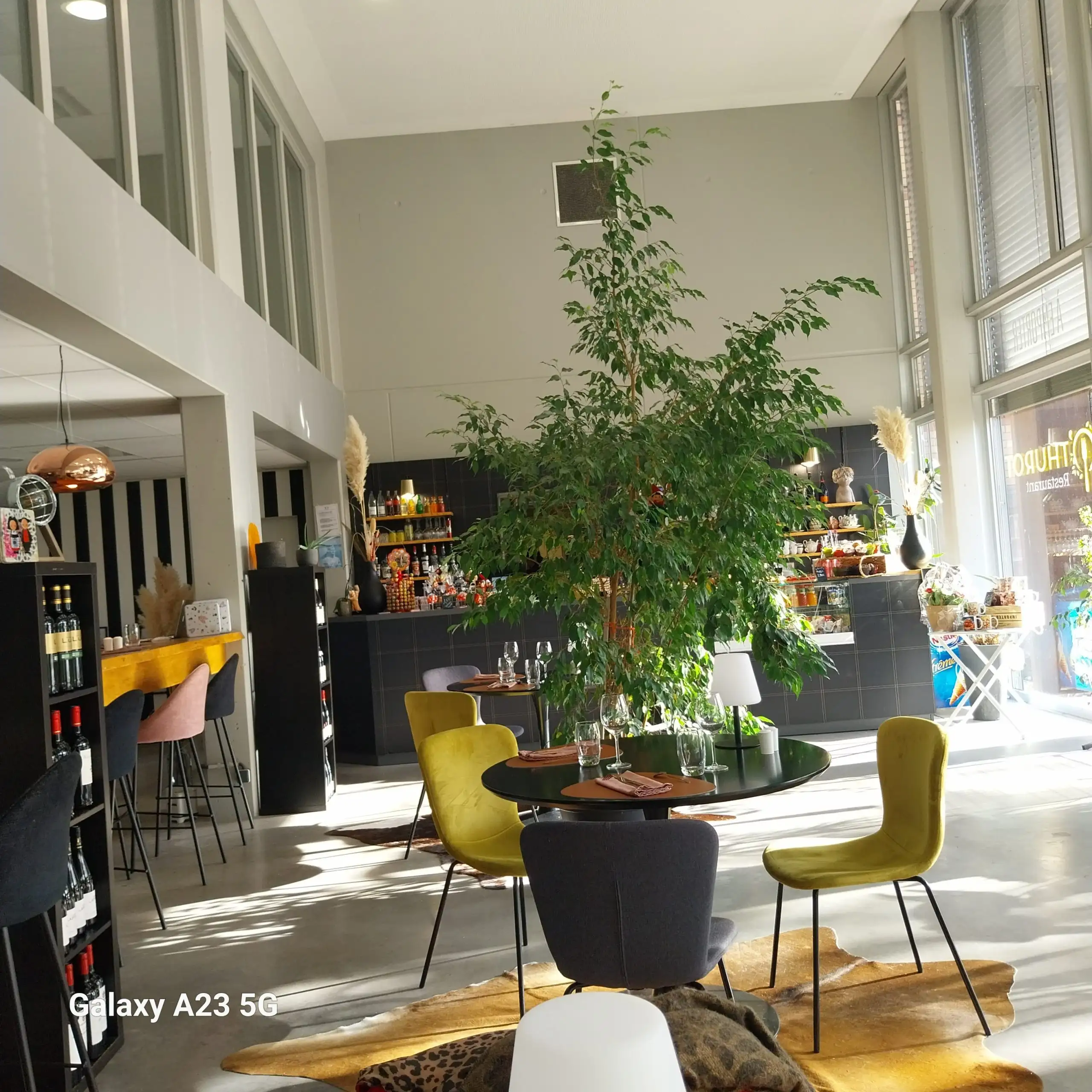 O'thurot à Haguenau