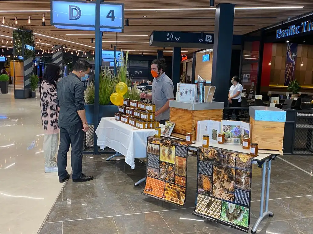 District - Cergy Les 3 Fontaines à Cergy