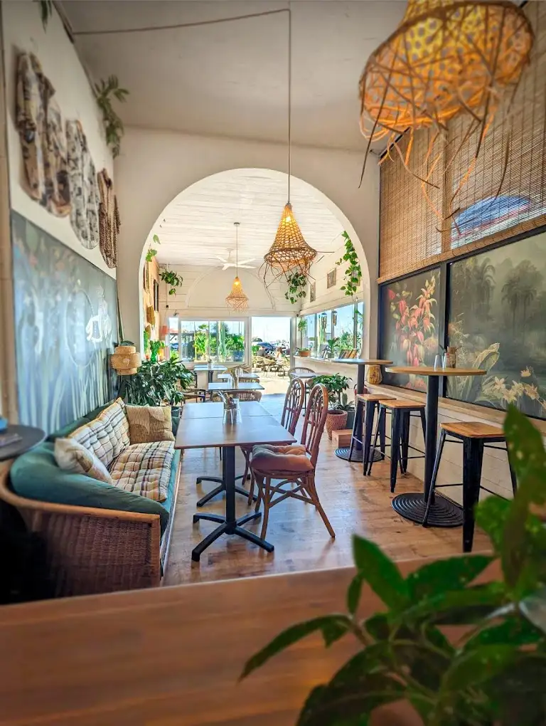 Monkey Mood à Capbreton