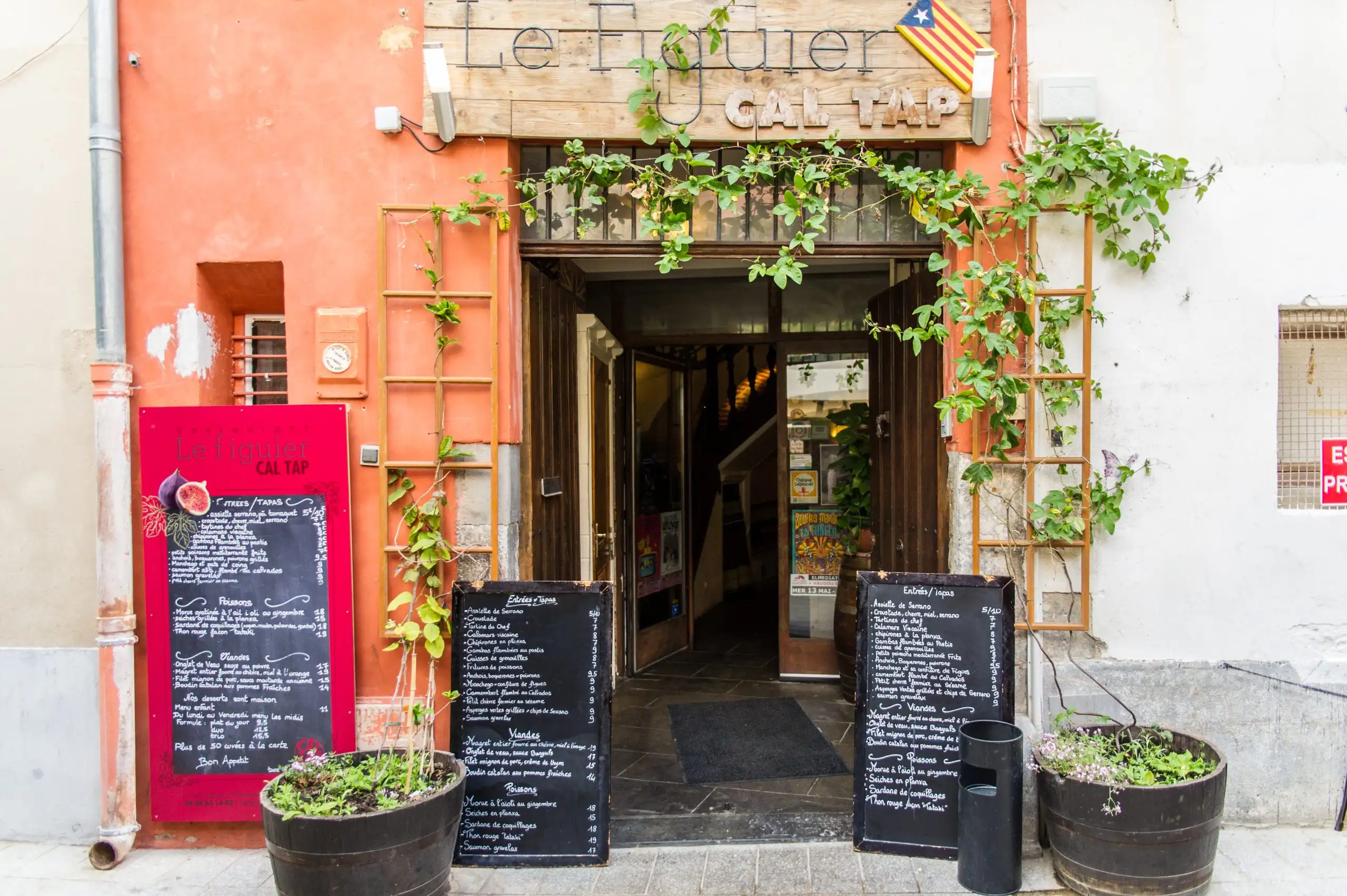 Le Figuier à Perpignan