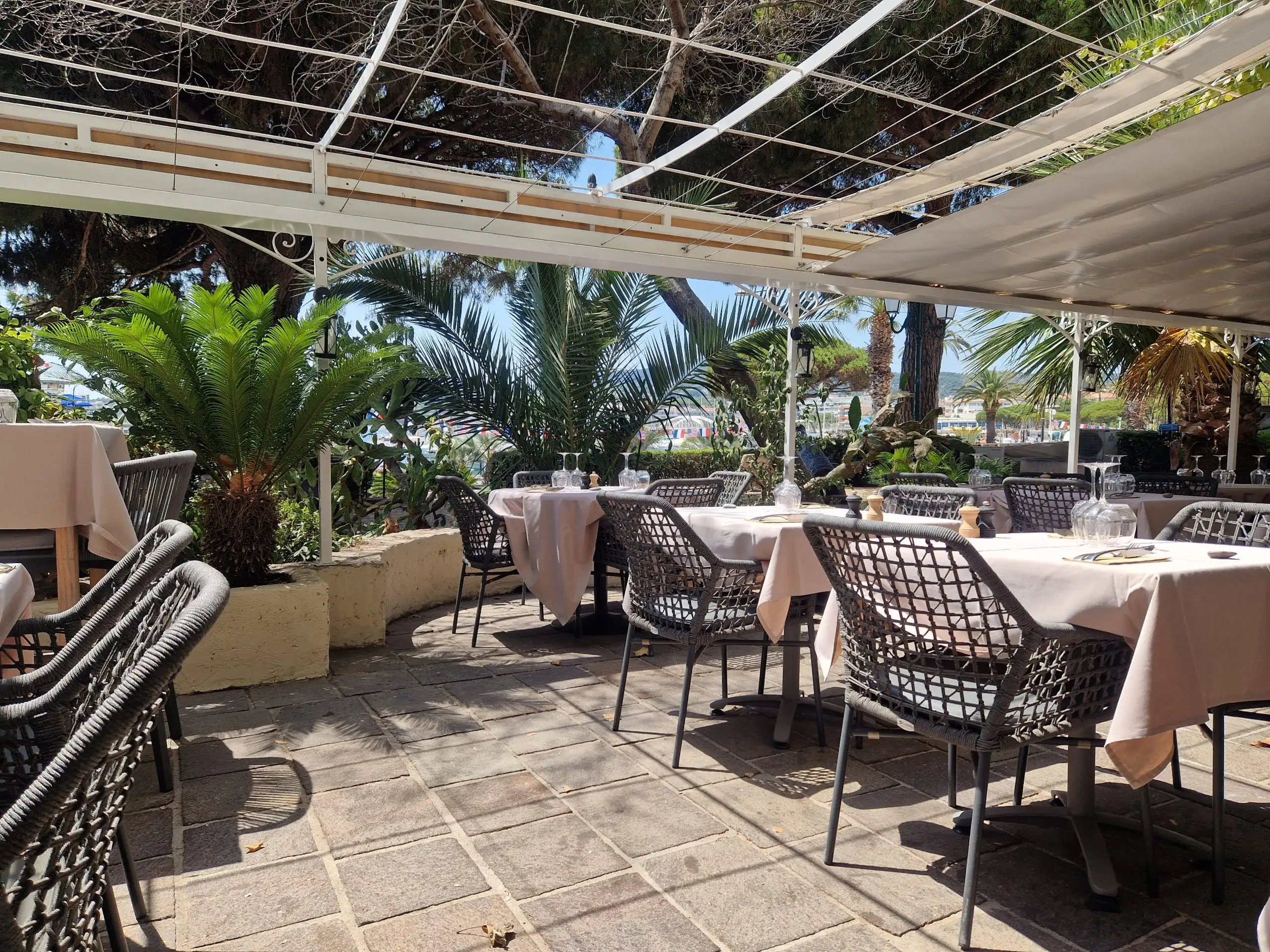 Les Palmiers Restaurant à Sainte-Maxime