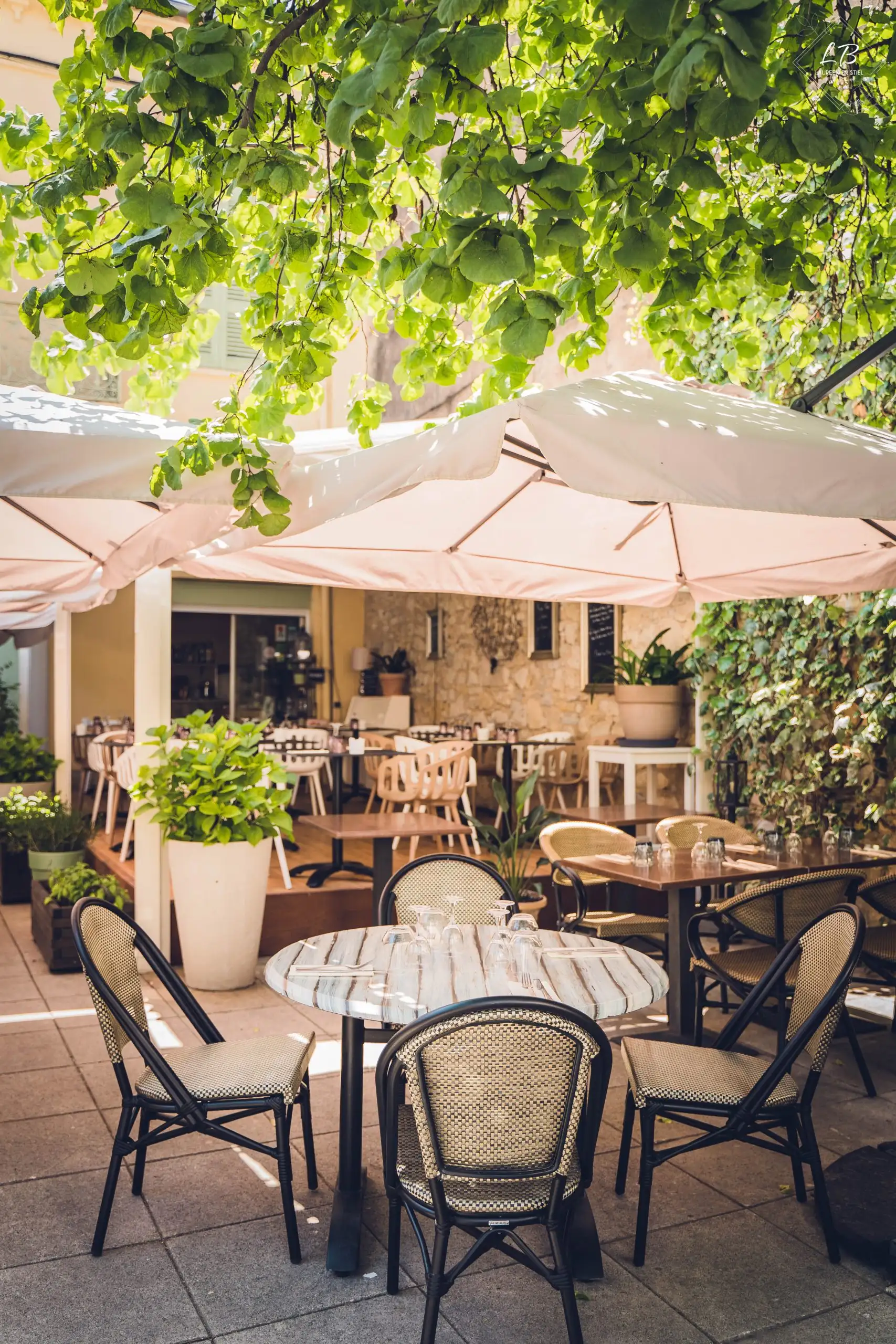 L'Androuno à Draguignan