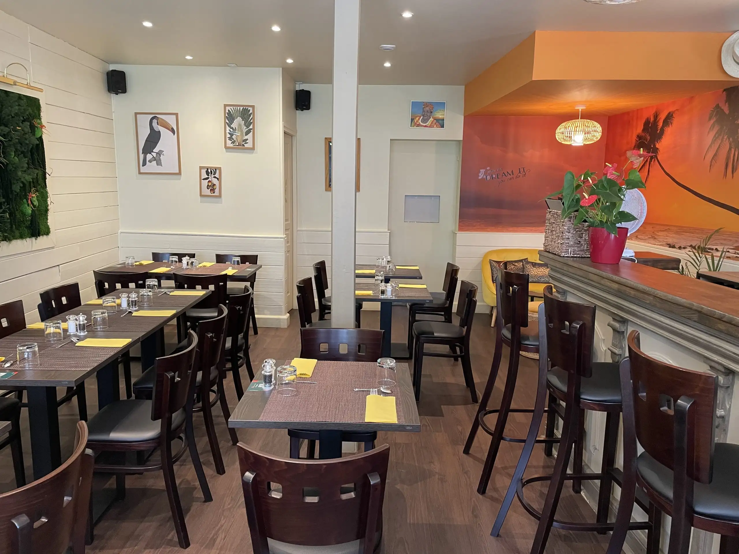 L'Arum des îles à Rueil-Malmaison