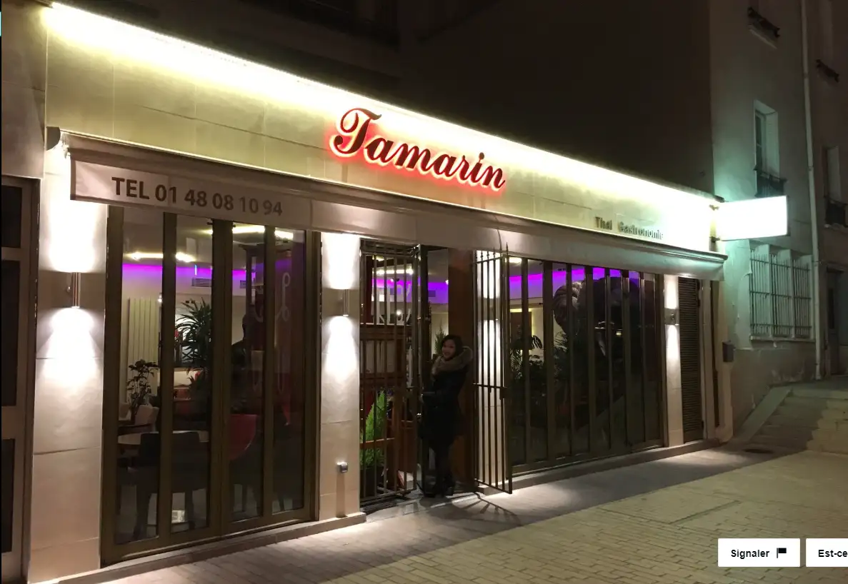 Tamarin à Vincennes