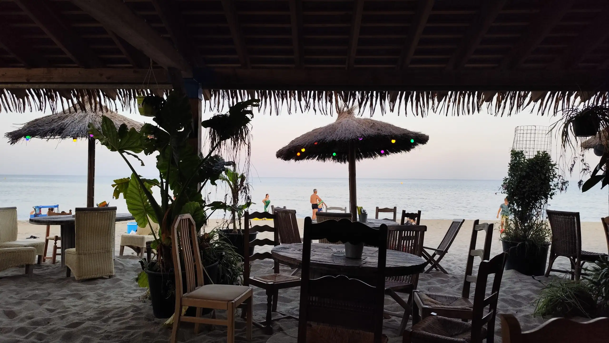 La jungle à Le Barcarès