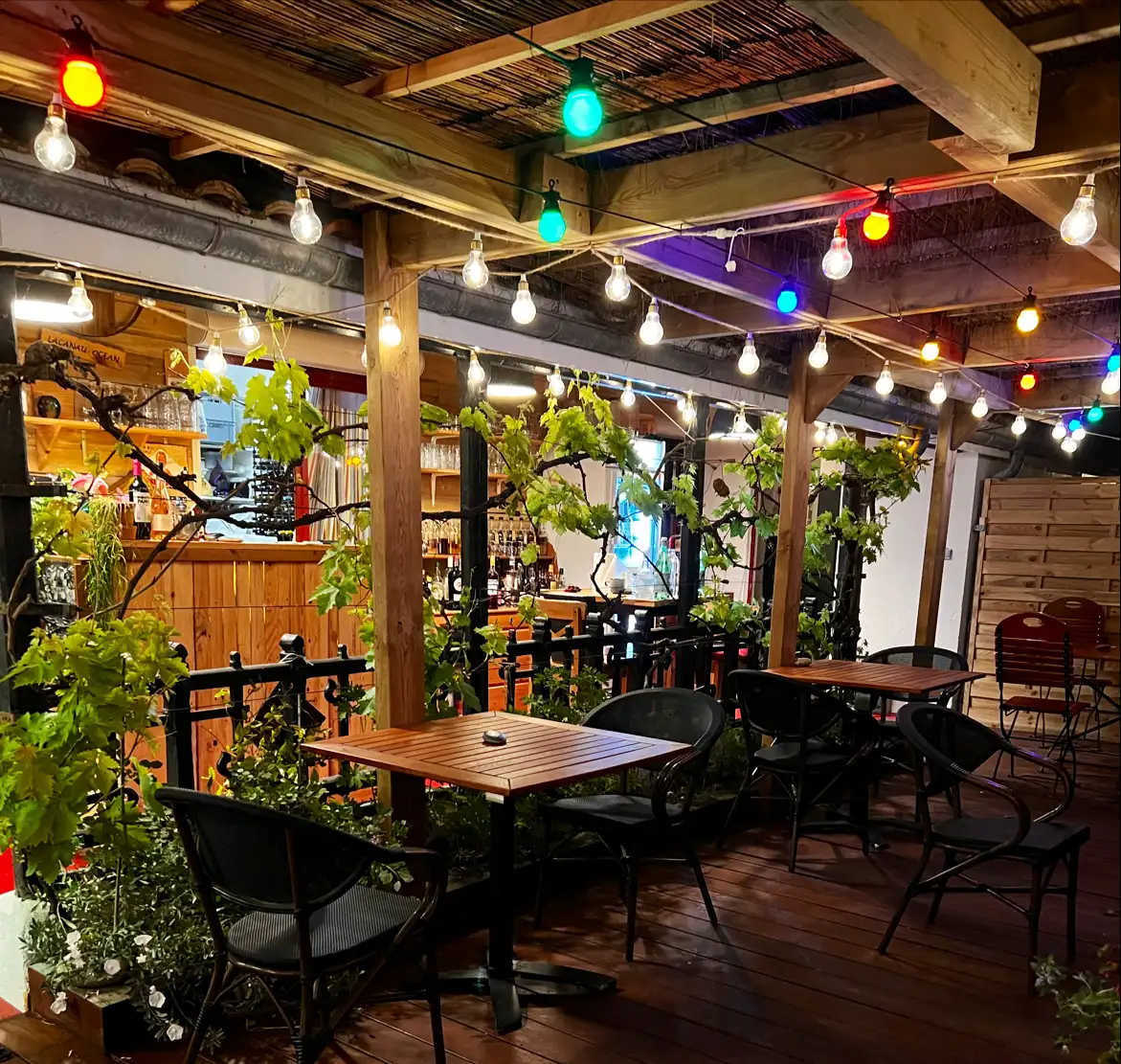 Le Chat Sur Le Toit à Lacanau