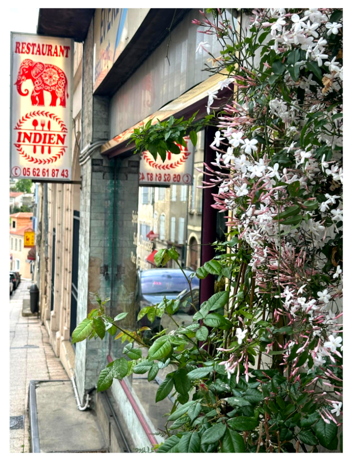 Everest Indien à Auch