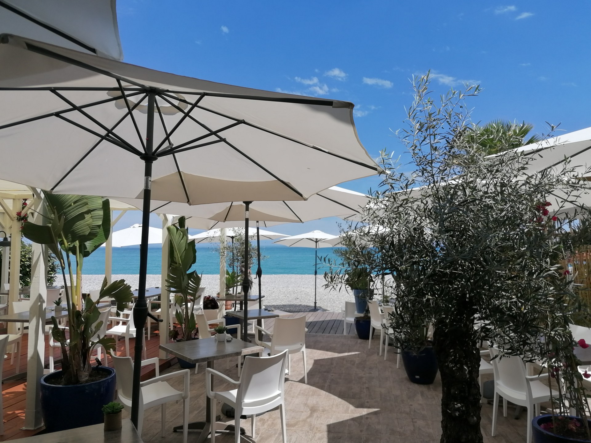 L'indigo à Villeneuve-Loubet