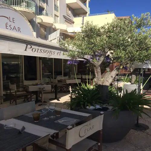 Le César à Fréjus