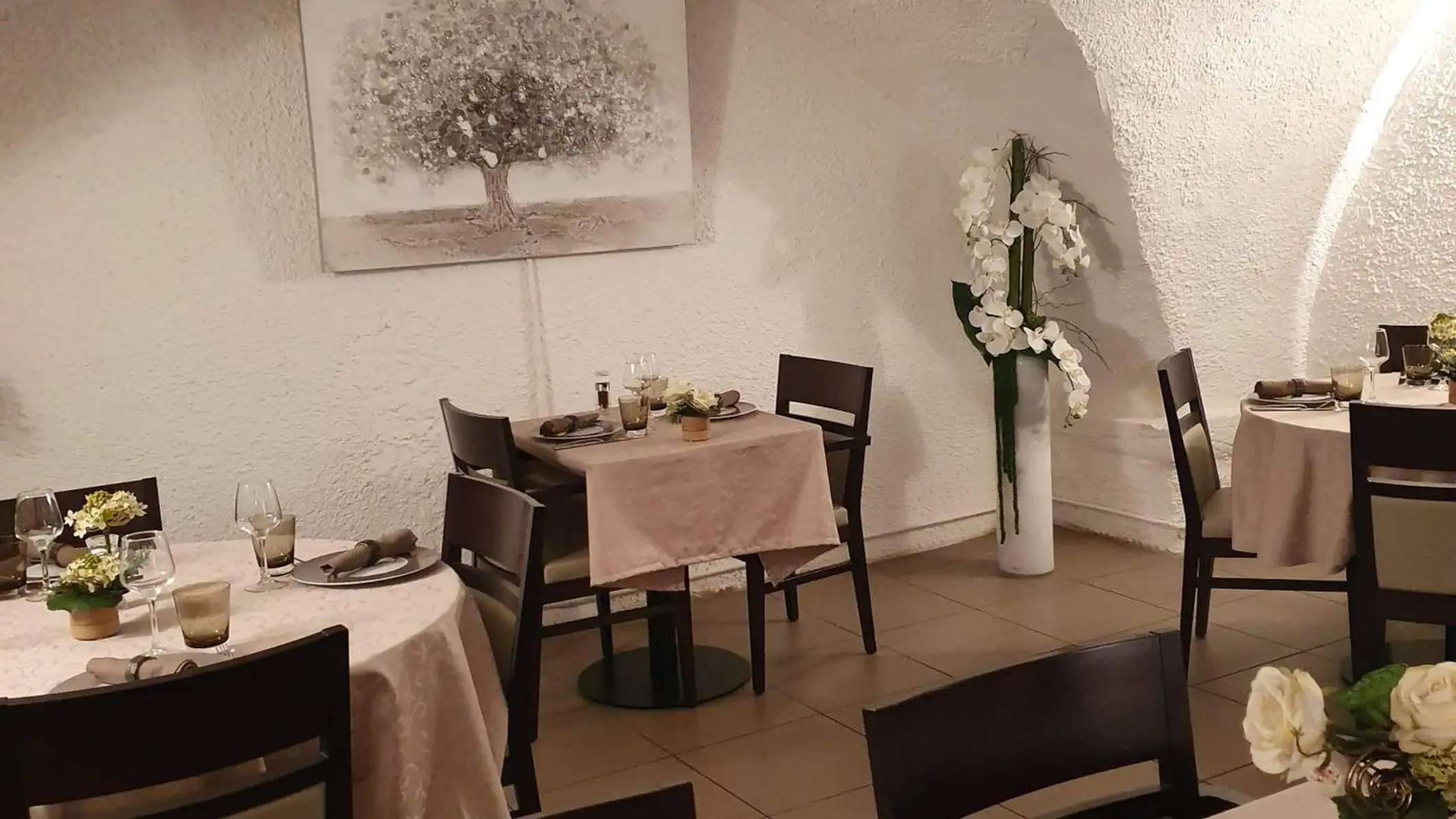 L'Amandier à Fréjus