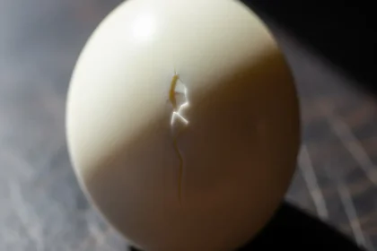 La Fragilité Insoupçonnée de l’Œuf Dur Écalé