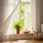 Des Solutions Naturelles et Économiques pour Éradiquer l’Humidité de Votre Maison