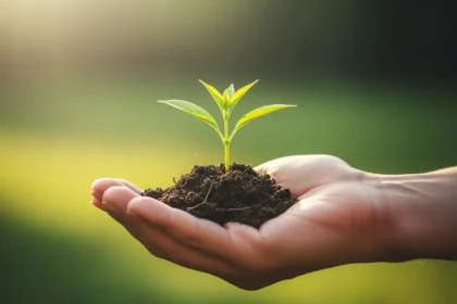 Prendre Soin de Sa Santé Mentale : Un Droit, Pas Un Luxe