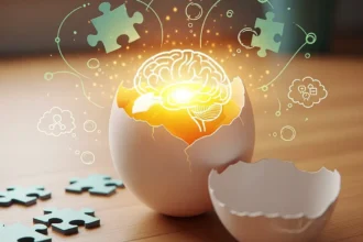 Les œufs : Un allié insoupçonné pour votre mémoire et votre cerveau 🧠
