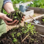 Transformez vos déchets verts en or pour le jardin : l’astuce zéro déchet