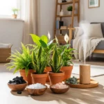 Adieu l’humidité : Des solutions naturelles pour un intérieur sain et serein