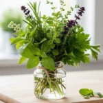 Le secret insoupçonné pour des herbes aromatiques fraîches pendant deux semaines