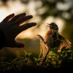 Aider un oiseau en détresse : entre bonnes intentions et pièges fatals 🐦