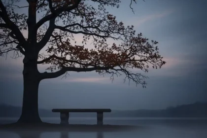 Assurance Obsèques : La Sécurisation du Capital et l’Évolution Législative de 2013