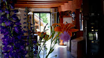 Photos de Le Pied des Thures, Chalet familial à louer n°21
