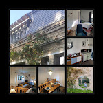 Photos de Oeil curieux n°5