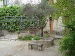 Photos de Le Jardin des Glycines n°3