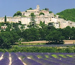 Photos de Le Jardin des Glycines n°10