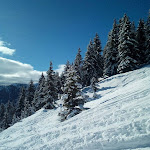 Photos de Chalet gite d'étape et de séjour le Cassu n°12