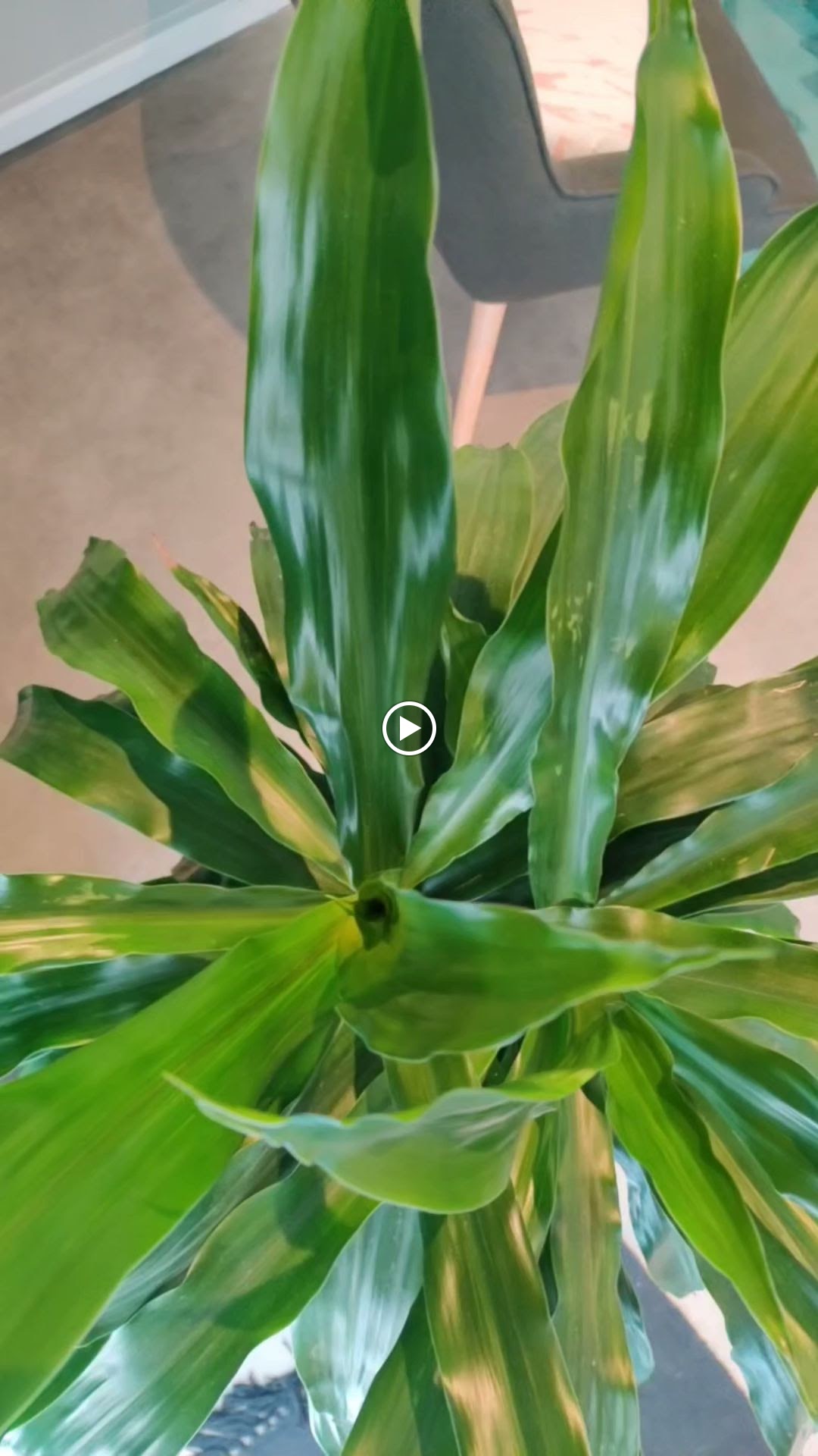 Photos de Le Club Bien Etre Gujan n°3