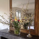 Photos de Logis de la Cavalerie - Chambres d'hôtes de Charente Bed And Breakfast. Champniers-Angoulême n°7