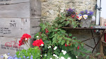 Photos de Bed and Breakfast La Haule Ste Mere Eglise n°16