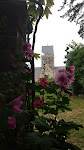 Photos de Bed and Breakfast La Haule Ste Mere Eglise n°17
