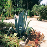 Photos de Liste Rouge - Maison d'Hôtes nîmes n°5