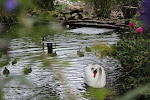 Photos de la bulle normande n°7