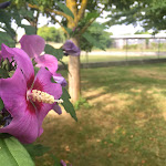 Photos de Camping de l'Étang n°9