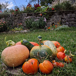 Photos de La Chavane du Plan n°11