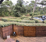 Photos de Le Penon Surf House n°15