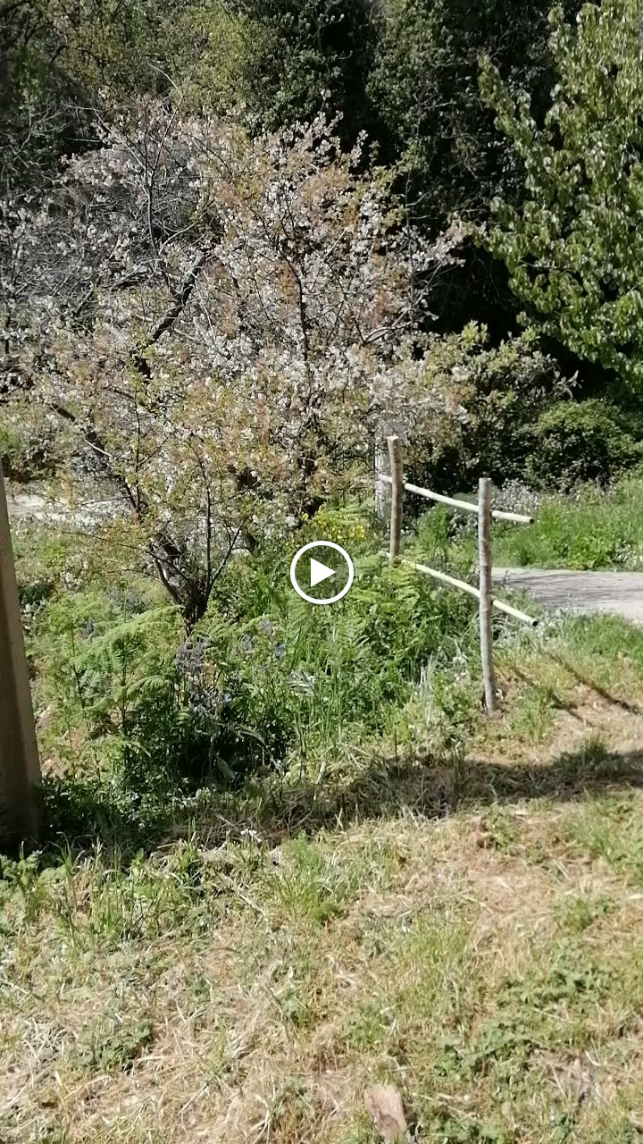 Photos de I FUNDALI gîtes et chambres d'hôtes n°8