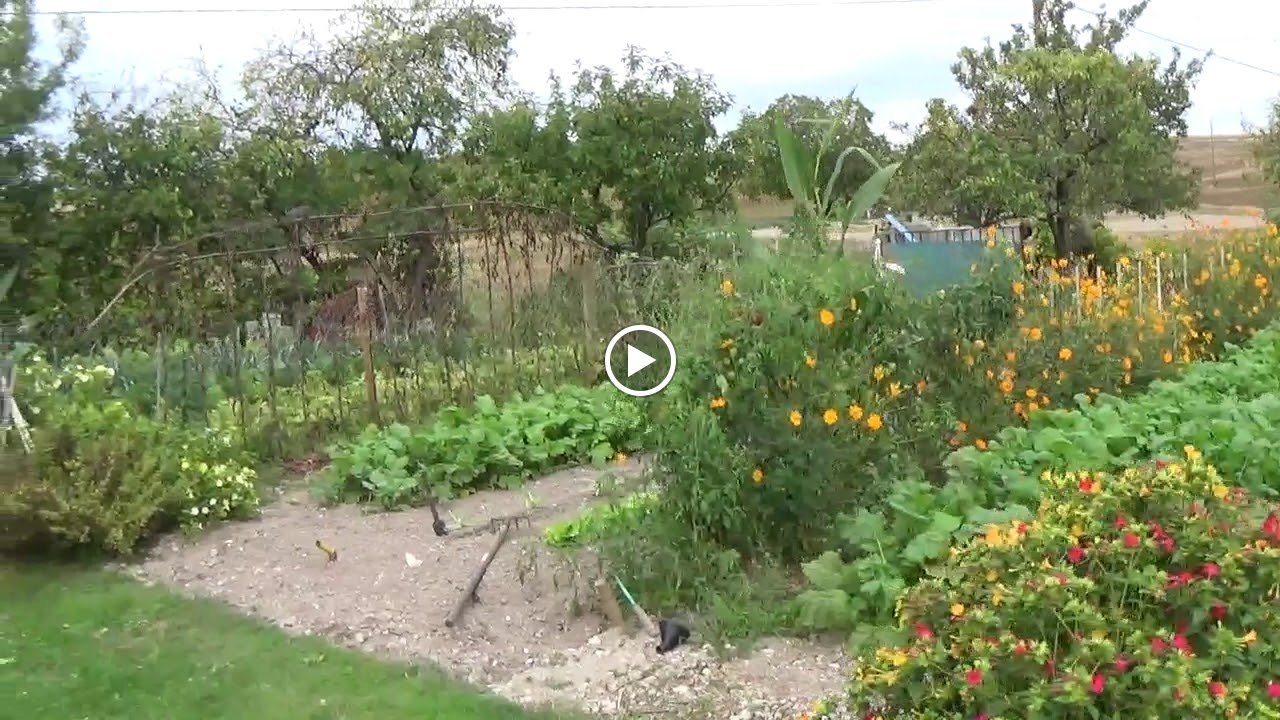 Photos de chambres d'hotes du magasin de la coinche n°7