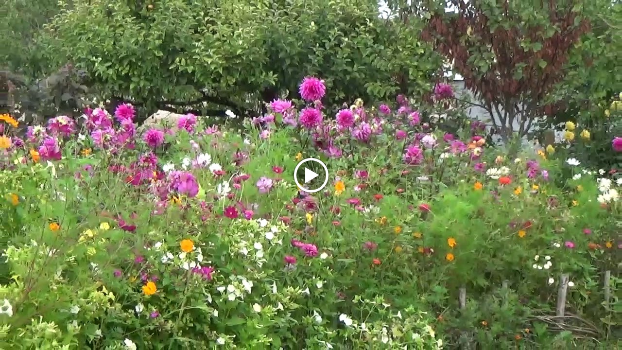 Photos de chambres d'hotes du magasin de la coinche n°9