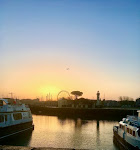 Photos de La Maison du Palmier - Chambres d'Hôtes La Rochelle n°8
