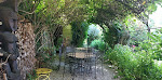 Photos de Au temps qu'on sème n°8