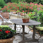 Photos de Domaine de clairefontaine n°12